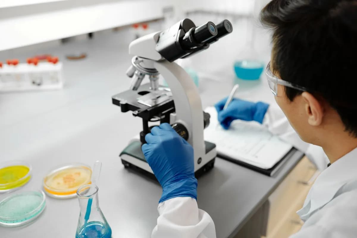 Scientist examining a sample through a laboratory microscope