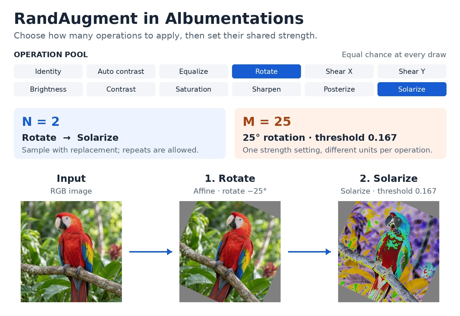 RandAugment in Albumentations: N=2 selects Rotate and Solarize from a pool of 12 operations. M=25 maps to a 25-degree rotation and a solarization threshold of 0.167. Arrows connect the input image, the visibly rotated image, and the final image with strongly altered colors.