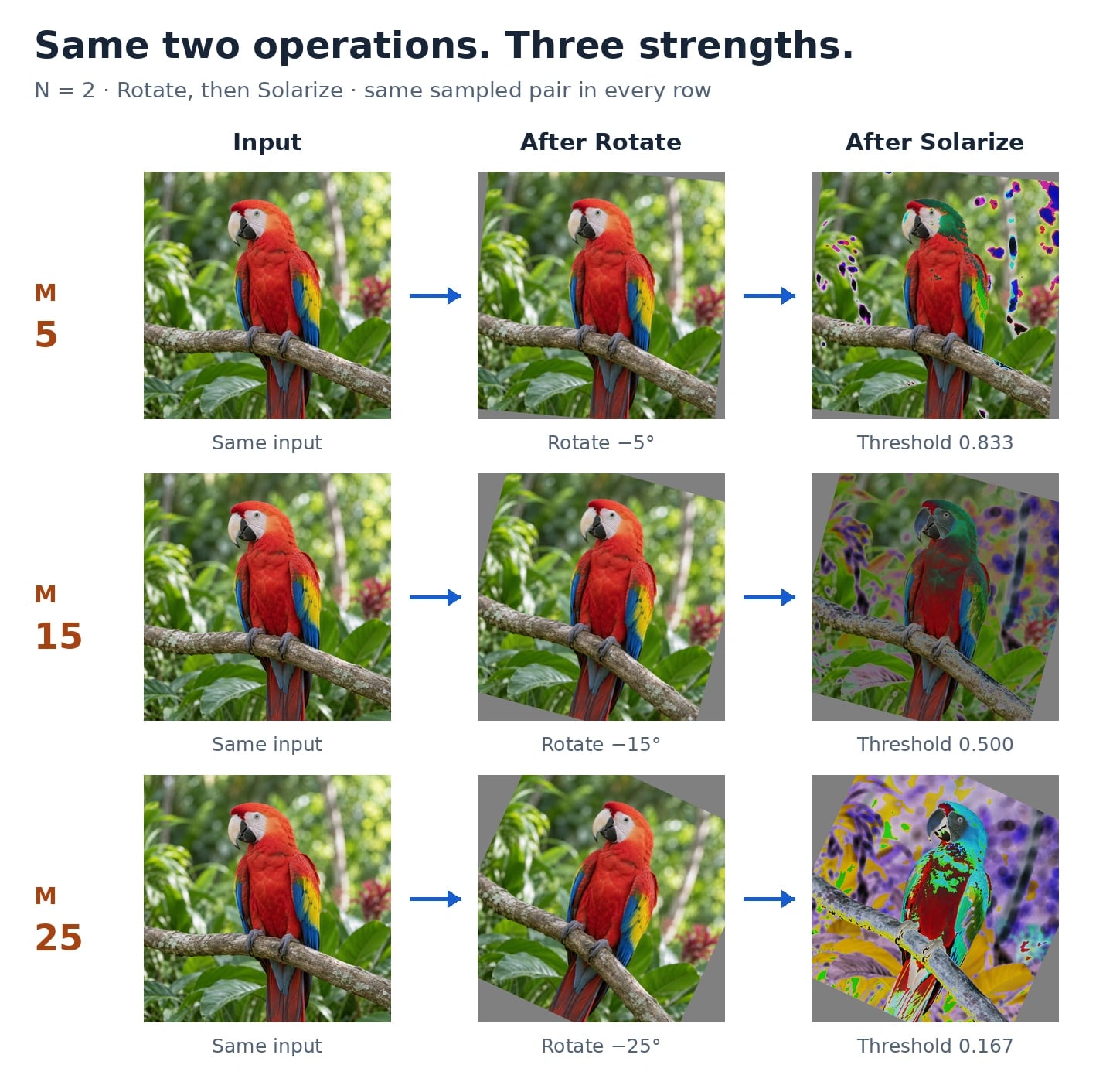 Three rows show the same image before augmentation, after rotation, and after solarization. With N fixed at 2, M=5 rotates by minus 5 degrees and uses threshold 0.833; M=15 rotates by minus 15 degrees and uses threshold 0.500; M=25 rotates by minus 25 degrees and uses threshold 0.167. Larger M produces a stronger tilt and more extensive color changes.
