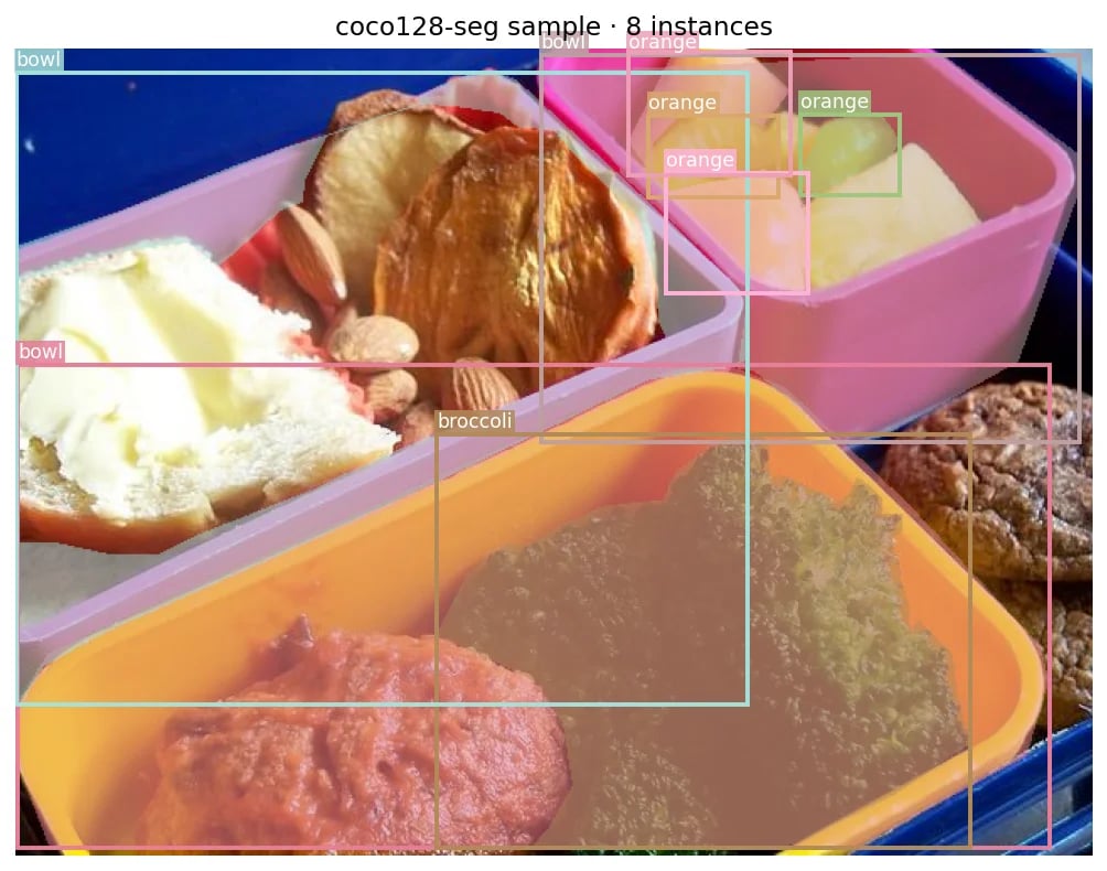 Instance segmentation sample with per-object masks, bboxes, and labels