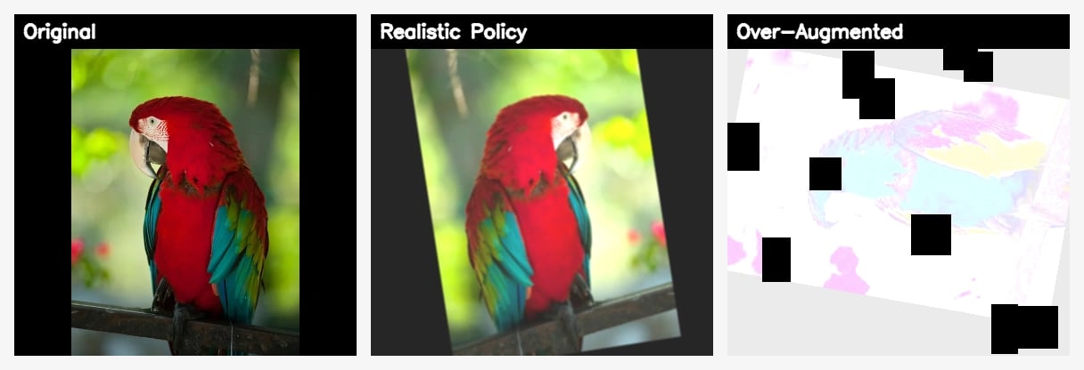 Realistic vs over-augmented policy