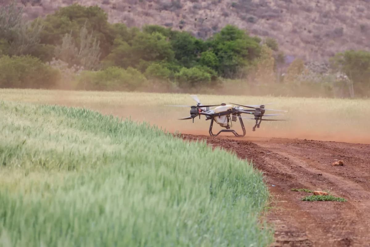 Agricultural drone flying over rows of crops