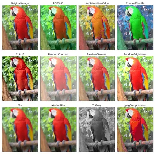 AlbumentationsX image augmentation example