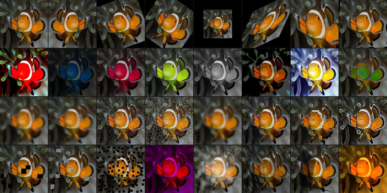 Augmentation Transforms Choosing Augmentations for Model Generalization | Albumentations