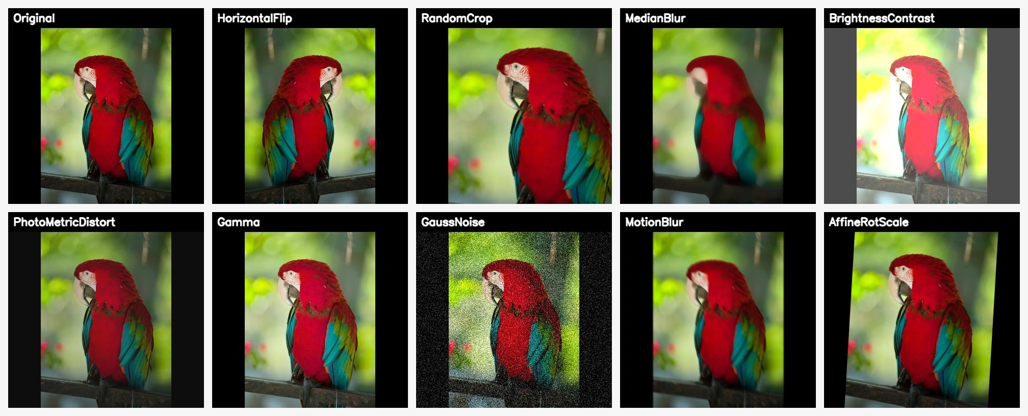 Image Augmentation Position What Is Image Augmentation? | Albumentations