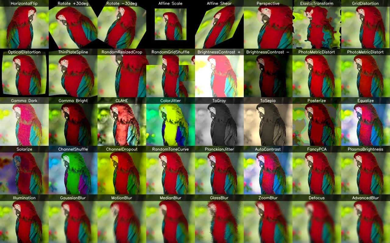 Image Augmentation Types What Is Image Augmentation? | Albumentations