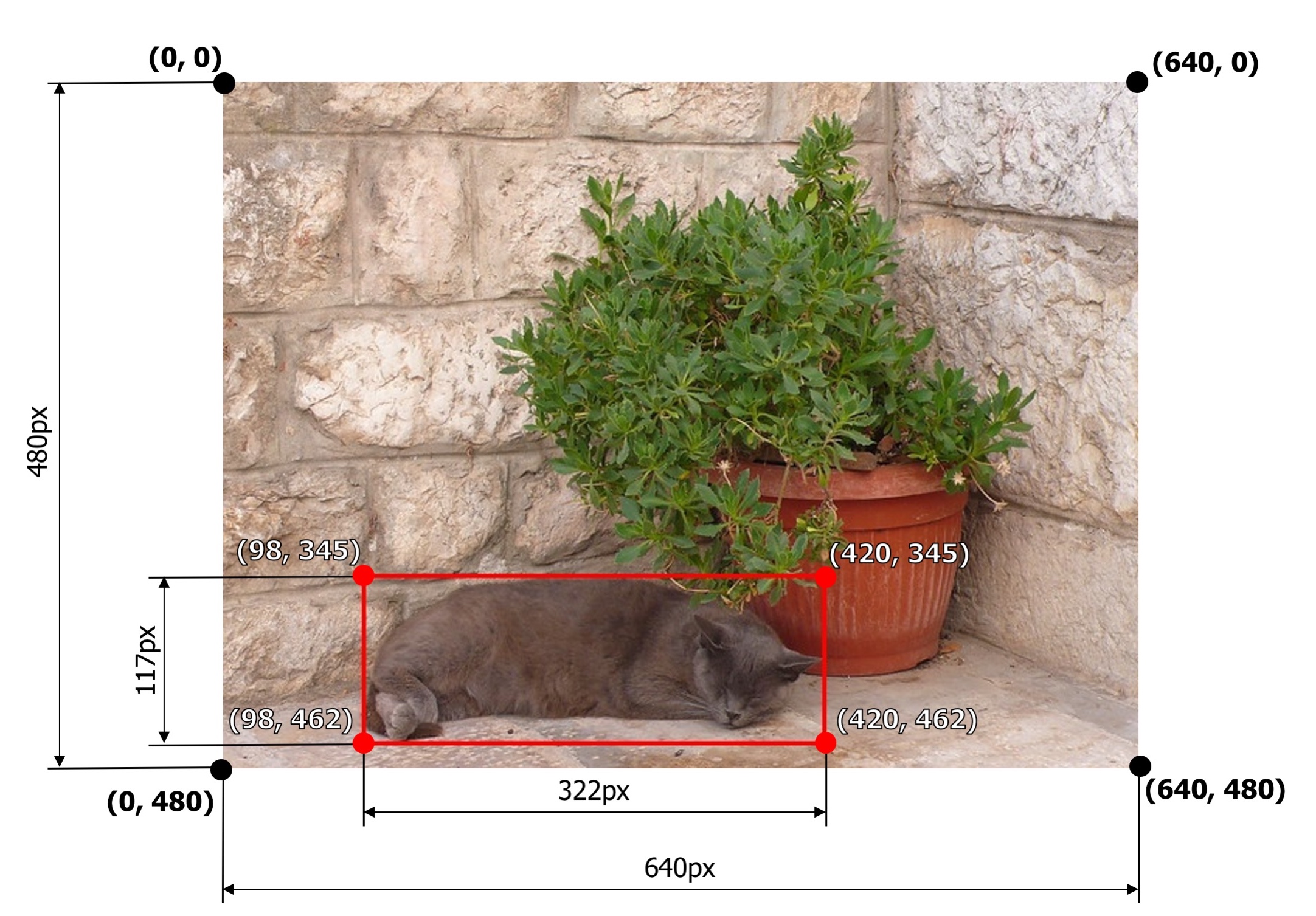 An example image with a bounding box from the COCO dataset