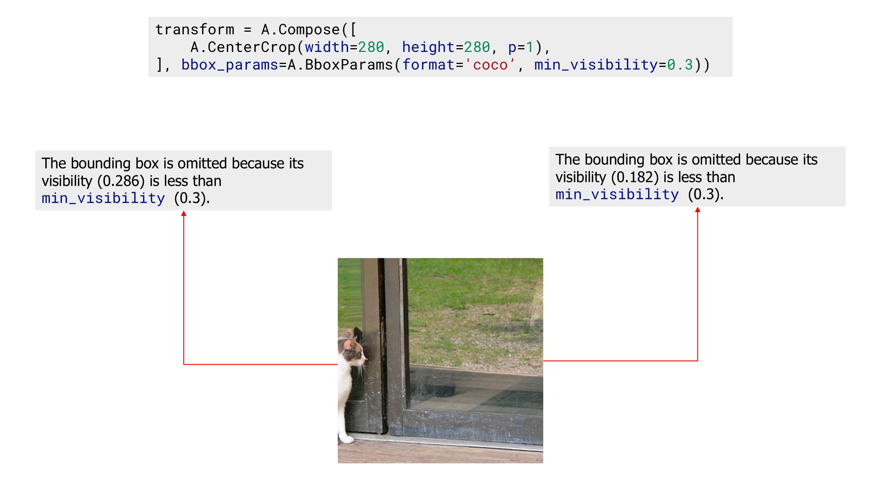 An example image with zero bounding boxes after applying augmentation with 'min_visibility'