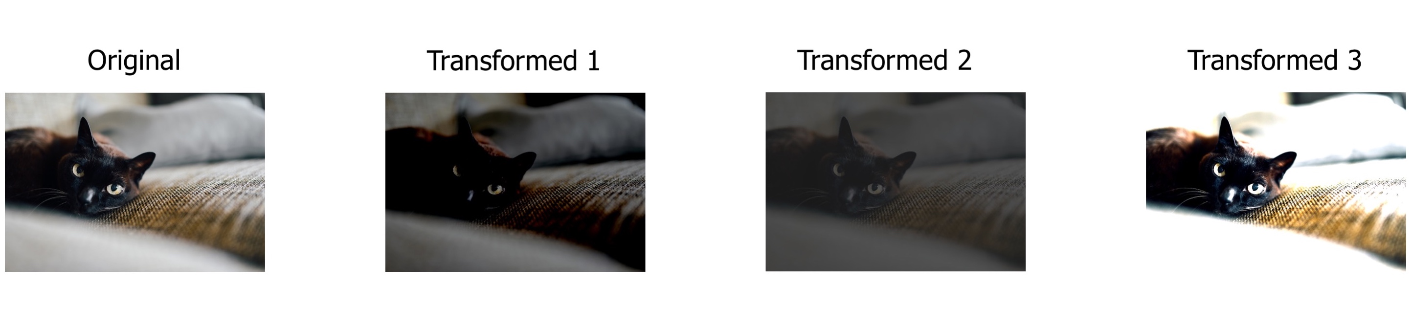 Passing the same image multiple times to transform will produce different output images