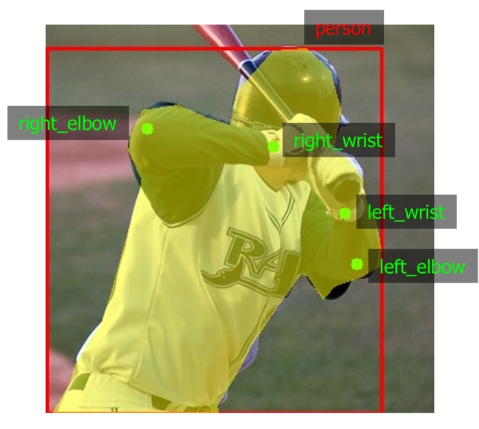 The augmented version of the image and its targets