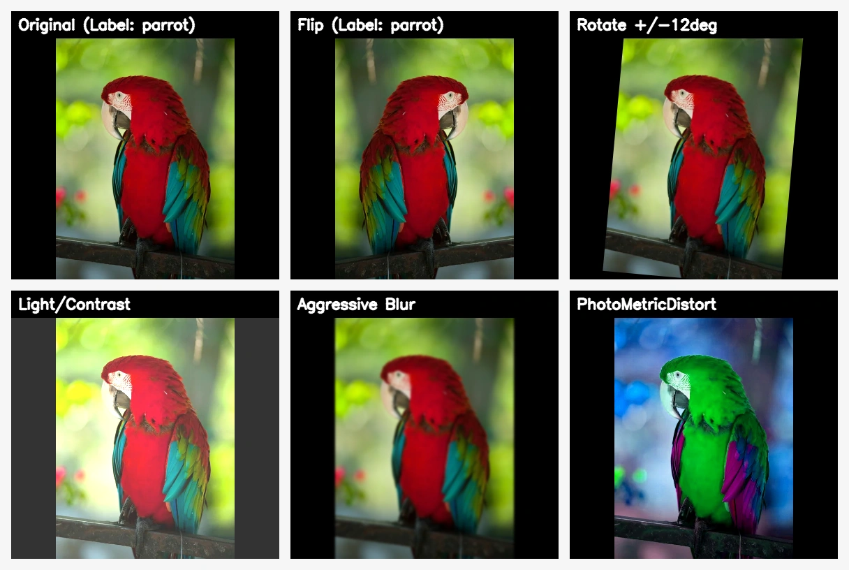 安全变换下的标签保持